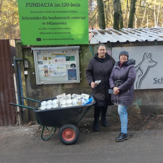 Podsumowanie Świątecznej zbiórki karmy dla Schroniska w Milanówku