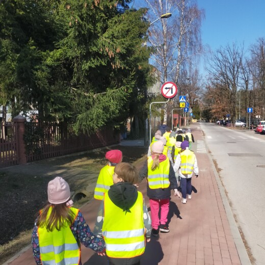 Wiewiórki w centrum rehabilitacji Artmedicus