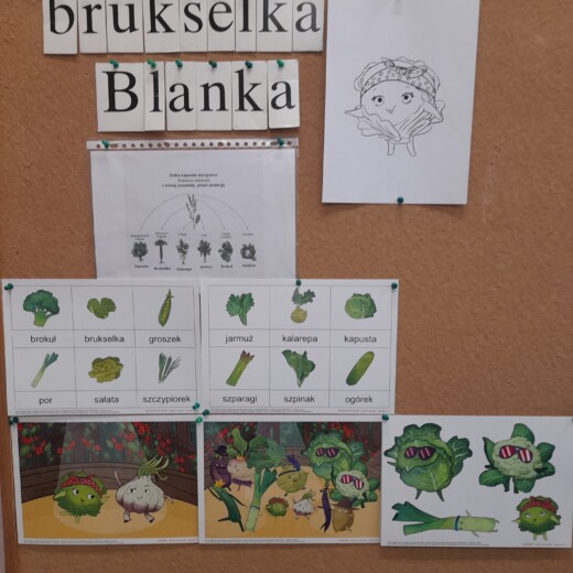 Wiewiórki i wyzwanie brukselkowe