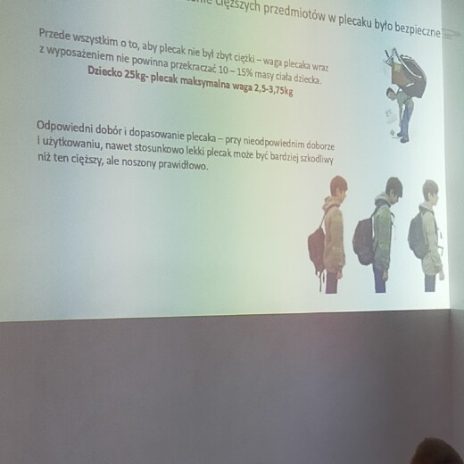 Wiewiórki w centrum rehabilitacji Artmedicus