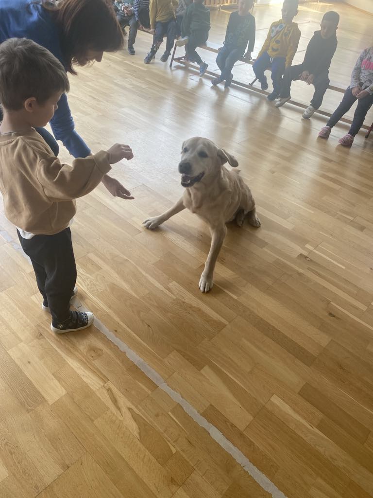 Rodzić ekspert – Biedronki Rodzić ekspert – Biedronki