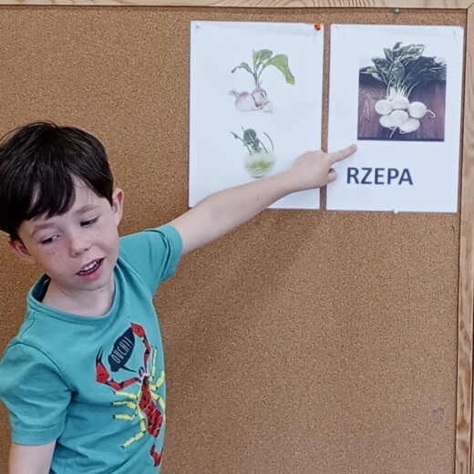 Projekt Witaminki – Rzepowe wyzwanie – Pszczółki