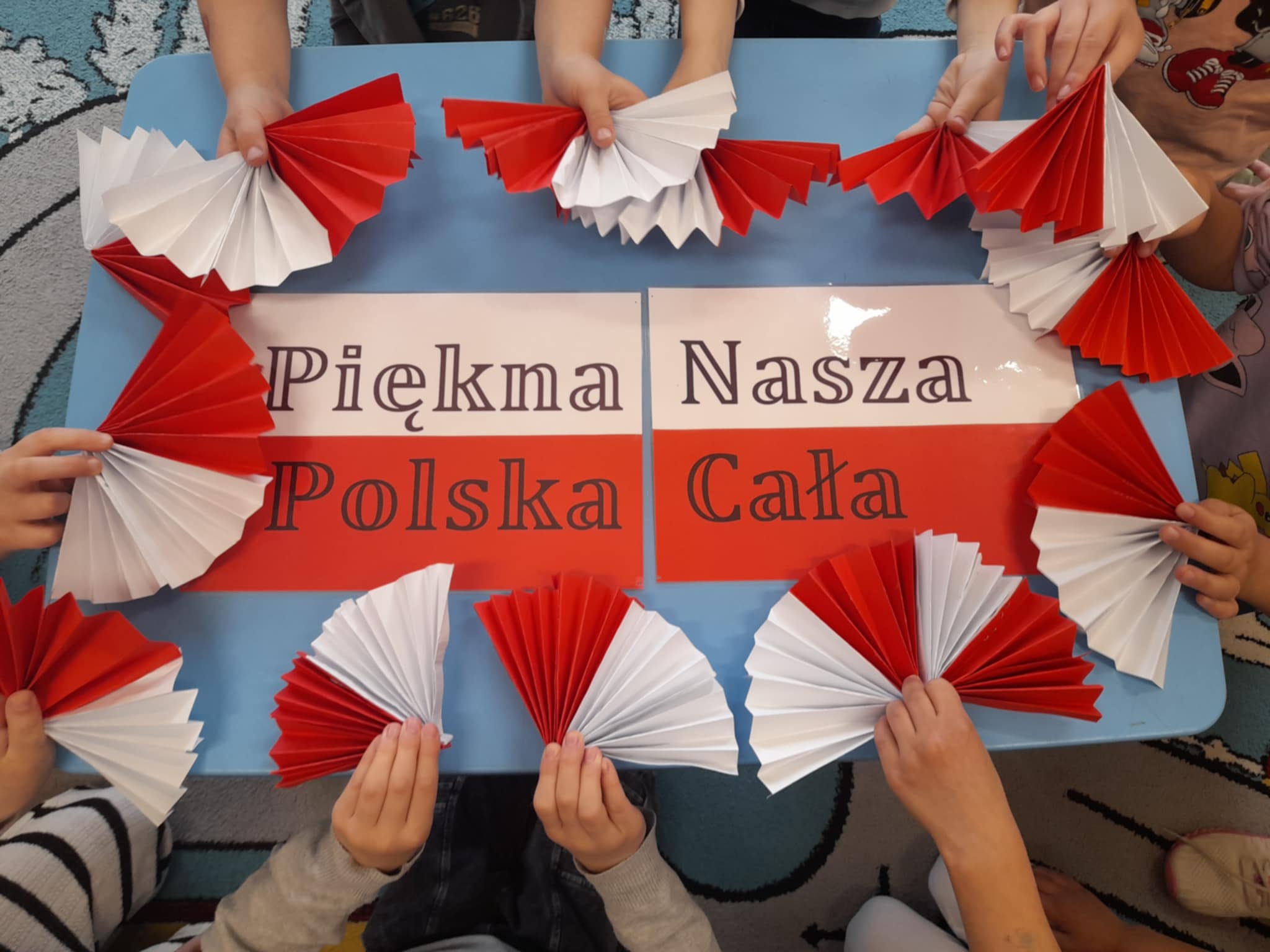 Podsumowanie projektu „Piękna Nasza Polska Cała”