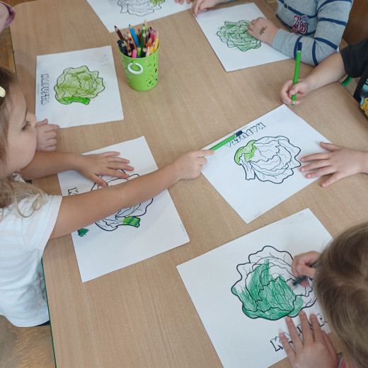 Zajęcia z kiszenia kapusty w Żabkach