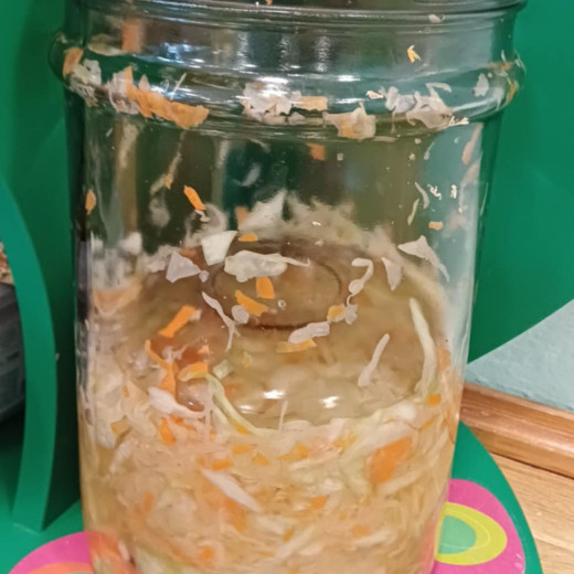 Zajęcia z kiszenia kapusty w Żabkach