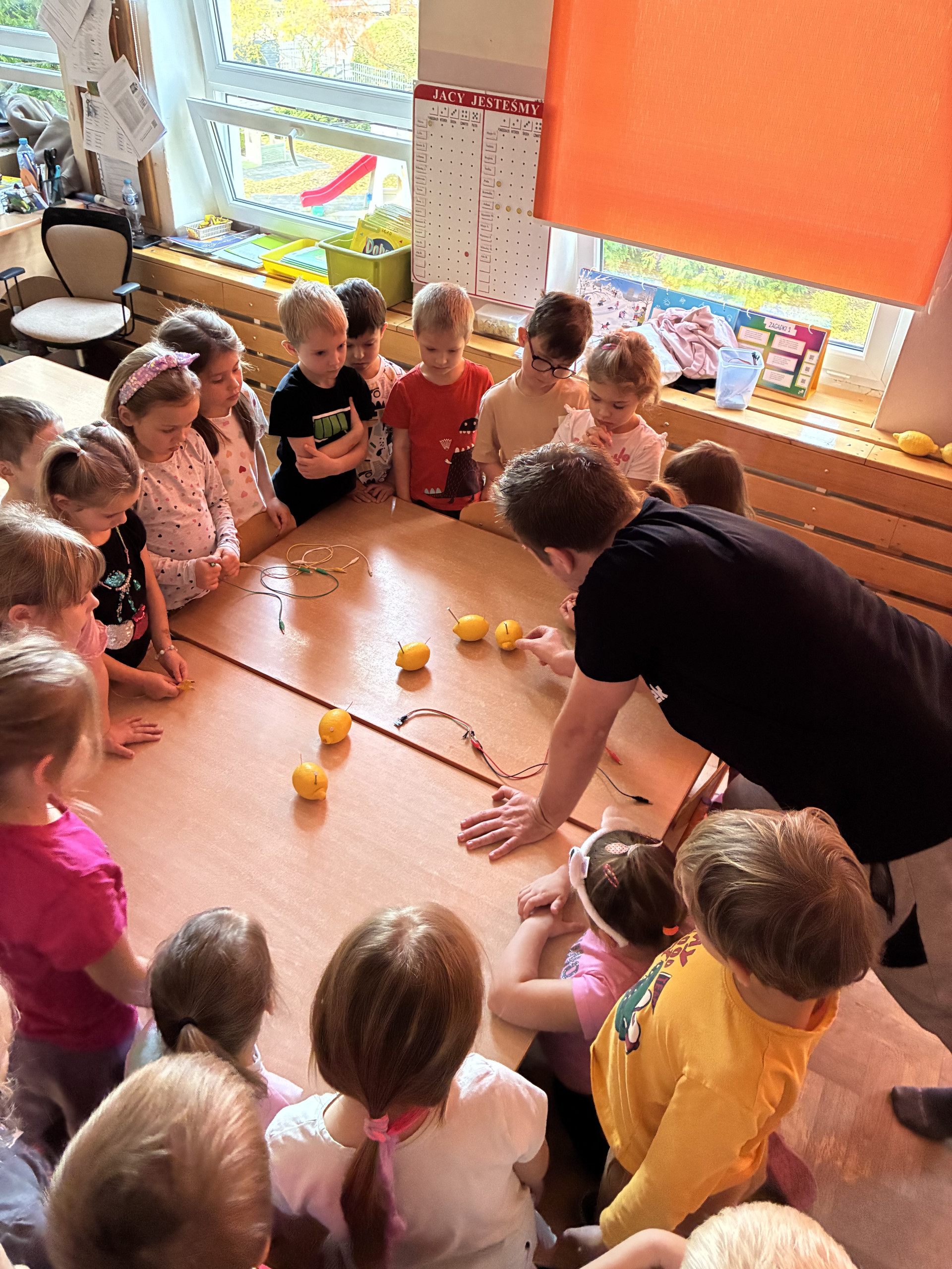 Wiewiórki na zajęciach pełnych energii :)