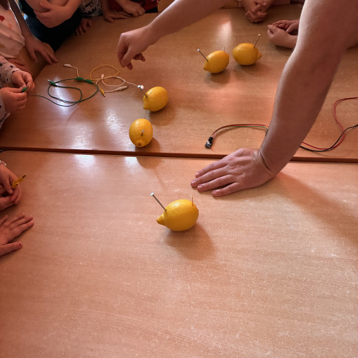 Wiewiórki na zajęciach pełnych energii :)