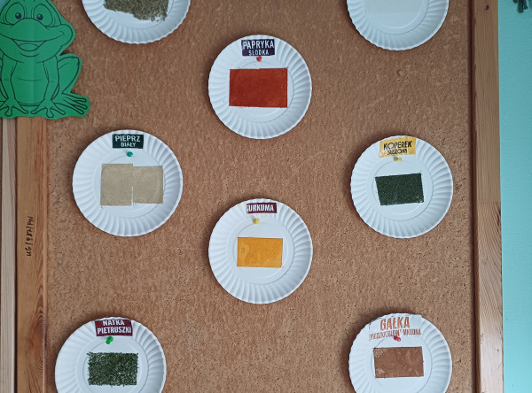 Żabki Ogólnopolski Projekt Edukacyjny „Gramy zmysłami”