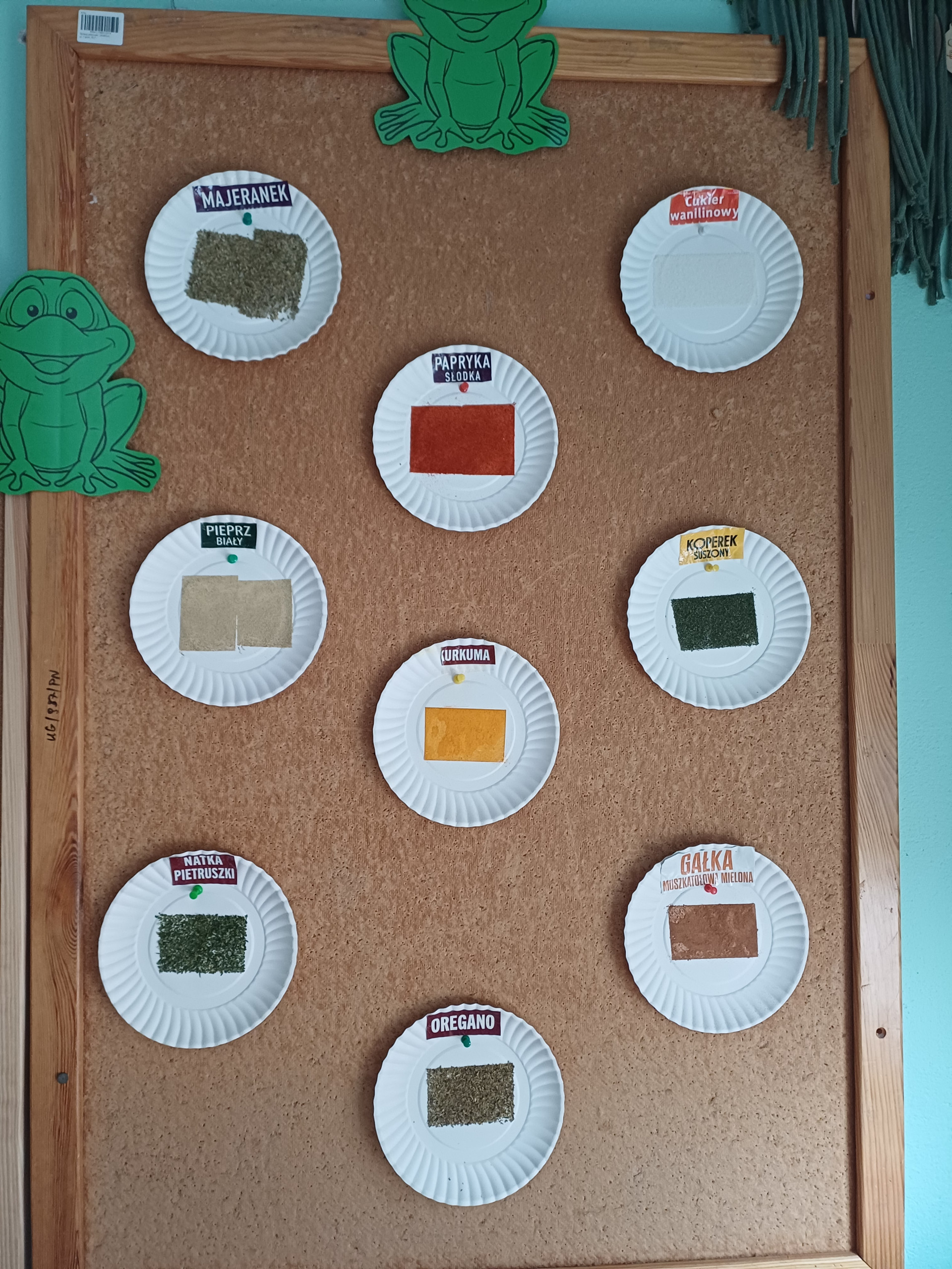 Żabki Ogólnopolski Projekt Edukacyjny „Gramy zmysłami”