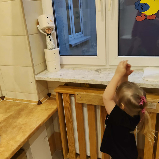 Elfiki rozrabiają – Biedronki