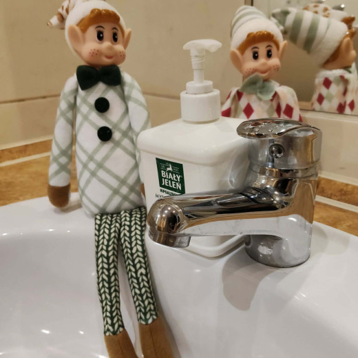 Elfiki rozrabiają – Biedronki