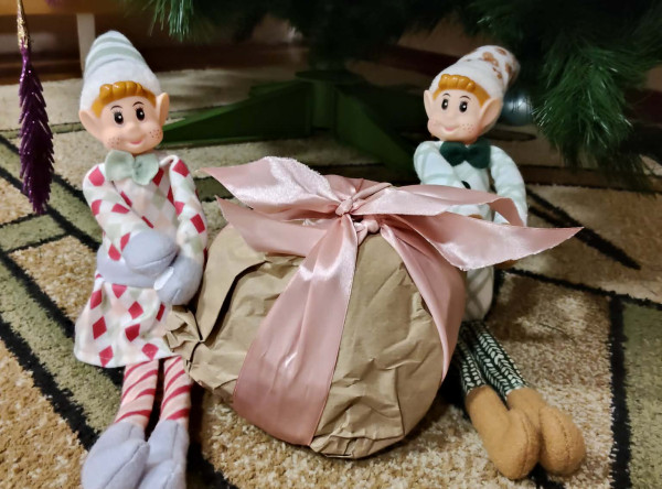 Elfiki rozrabiają – Biedronki