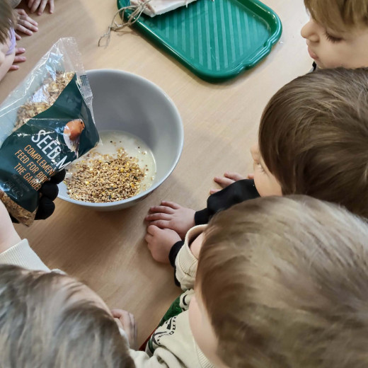 Biedronki zapraszają do ptasiej stołówki