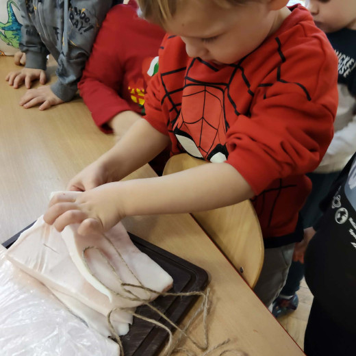 Biedronki zapraszają do ptasiej stołówki