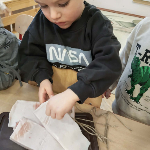 Biedronki zapraszają do ptasiej stołówki