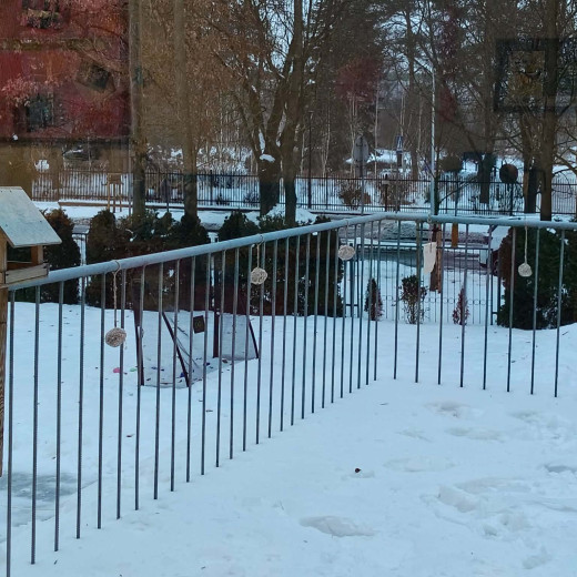 Biedronki zapraszają do ptasiej stołówki