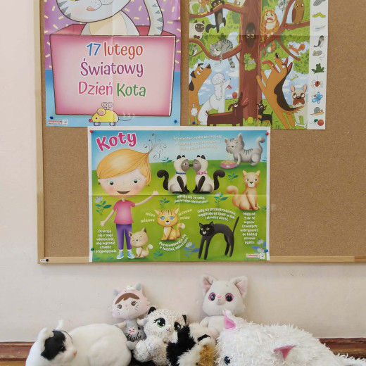 Dzień kota – Biedronki