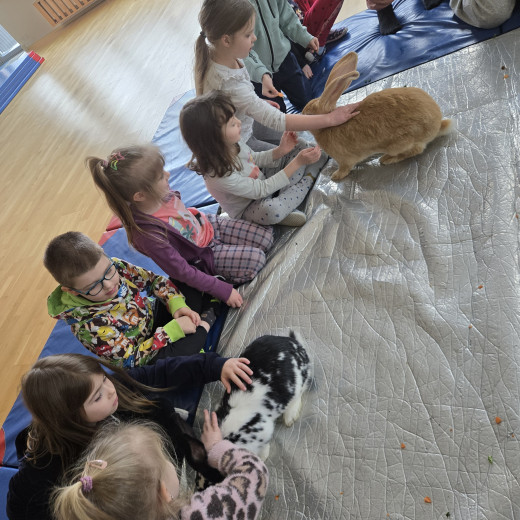 Spotkanie z króliczkami