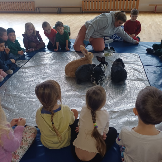 Spotkanie z króliczkami