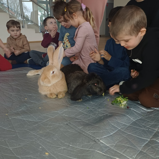 Spotkanie z króliczkami