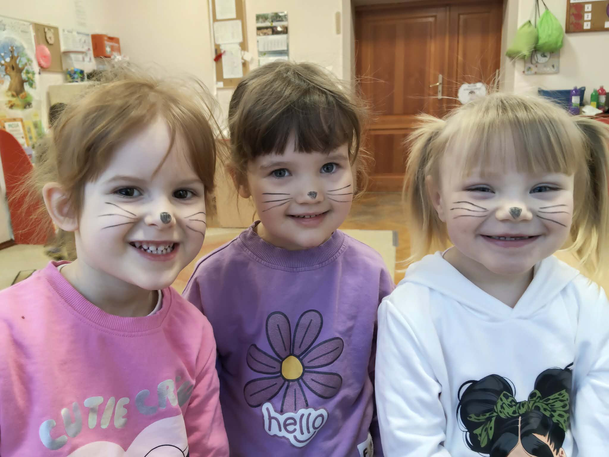 Dzień kota – Biedronki