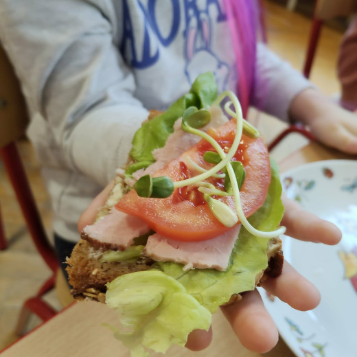 Hodowla kiełków Biedronek