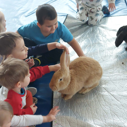 Spotkanie z króliczkami