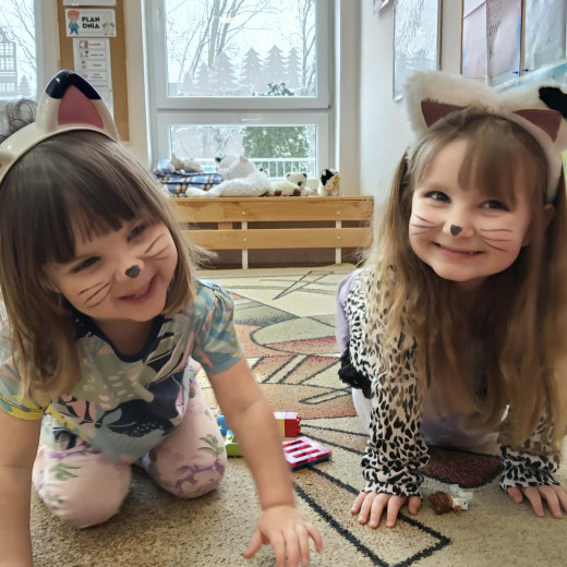 Dzień kota – Biedronki