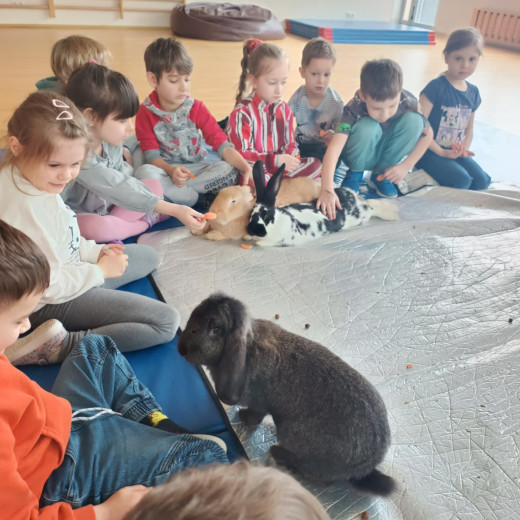 Spotkanie z króliczkami