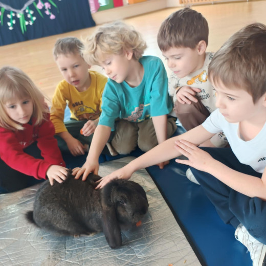 Spotkanie z króliczkami