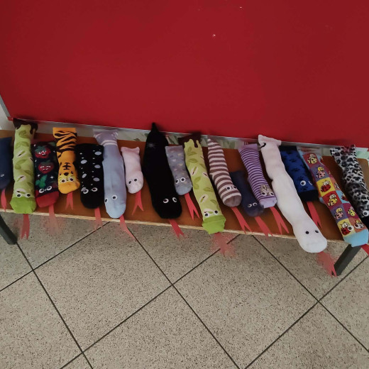 Drugie życie skarpetki „Wąż” – Biedronki