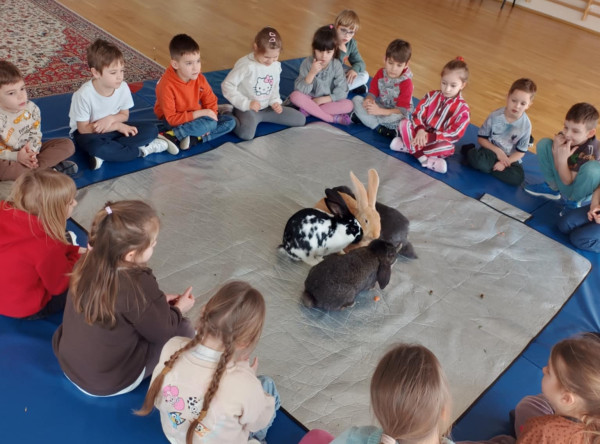 Spotkanie z króliczkami