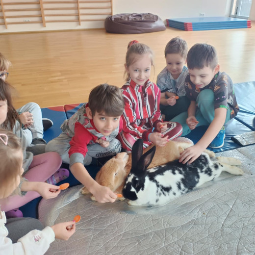 Spotkanie z króliczkami