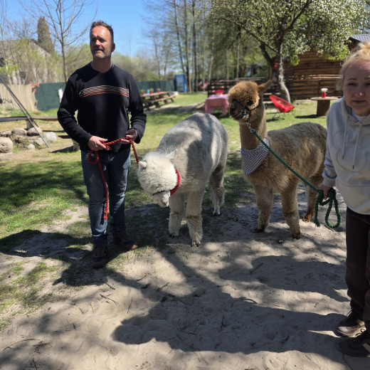 Wiewiórki w zagrodzie Alpaki Tulaki