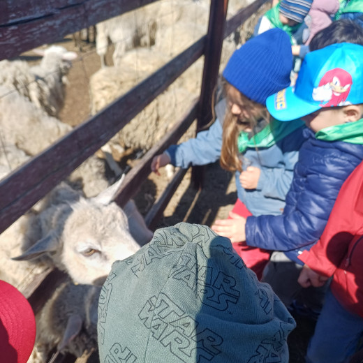 „Natura wzywa” – Biedronki i Żabki