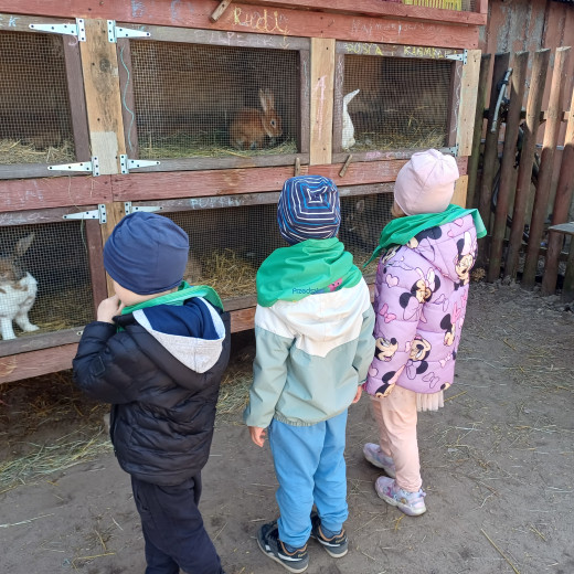 „Natura wzywa” – Biedronki i Żabki