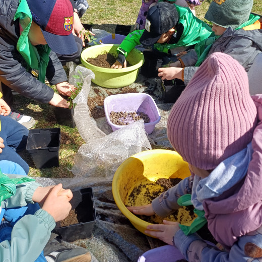 „Natura wzywa” – Biedronki i Żabki