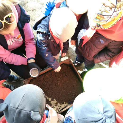 „Natura wzywa” – Biedronki i Żabki