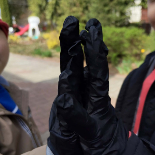 Ekologiczne aktywności Biedronek