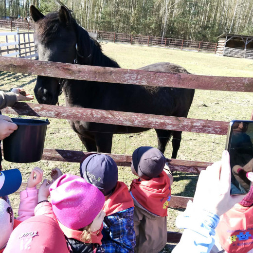 „Natura wzywa” – Biedronki i Żabki