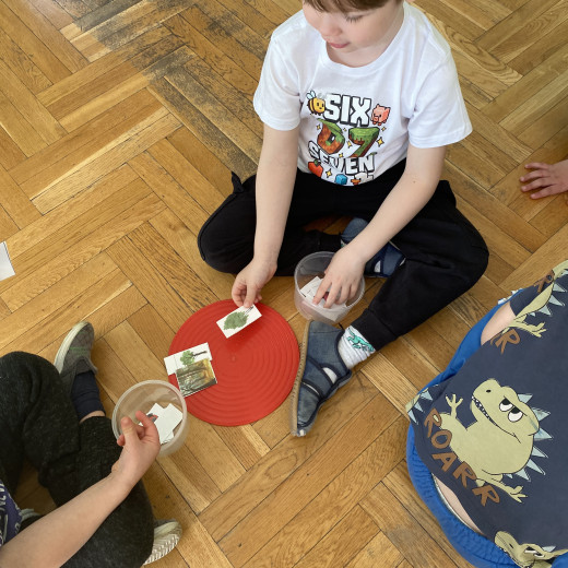 Grupa II „Żaby” – z matematyką za pan brat