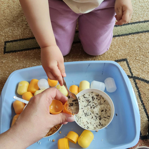 Ekologiczne aktywności Biedronek