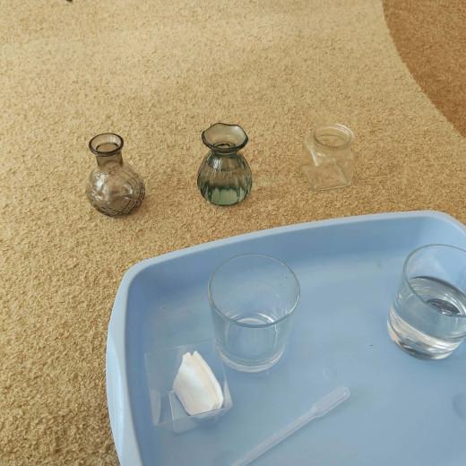 Ekologiczne aktywności Biedronek