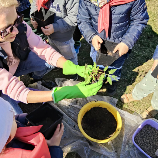 „Natura wzywa” – Biedronki i Żabki