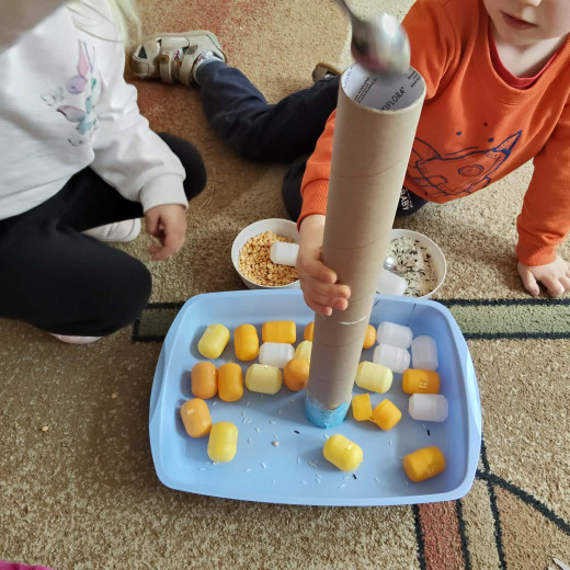 Ekologiczne aktywności Biedronek