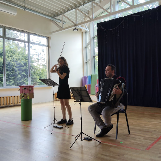 Koncert „Historia pewniej pszczoły” – skrzypce