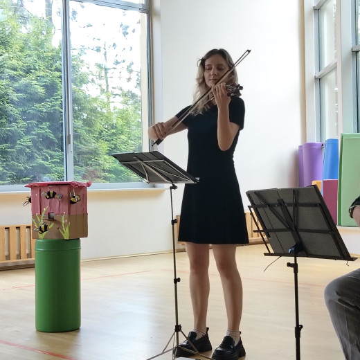 Koncert „Historia pewniej pszczoły” – skrzypce