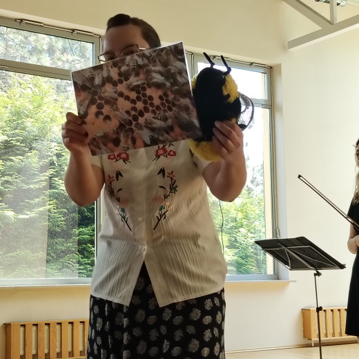 Koncert „Historia pewniej pszczoły” – skrzypce