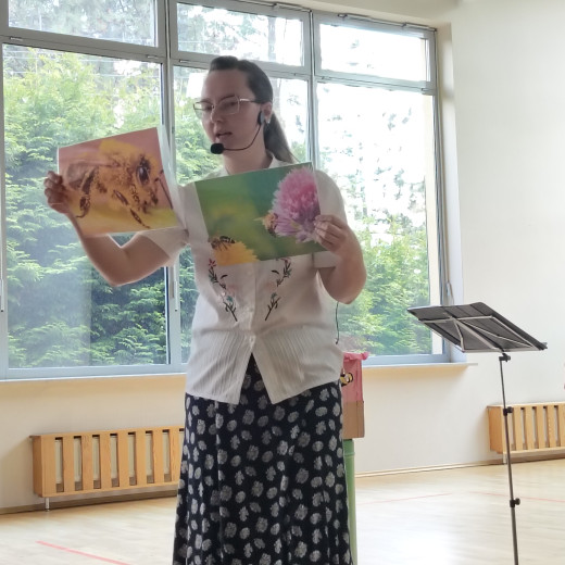 Koncert „Historia pewniej pszczoły” – skrzypce