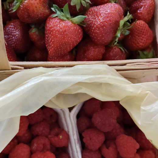 Bezpieczne wakacje – mamy pielęgniarki